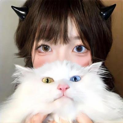 外壳